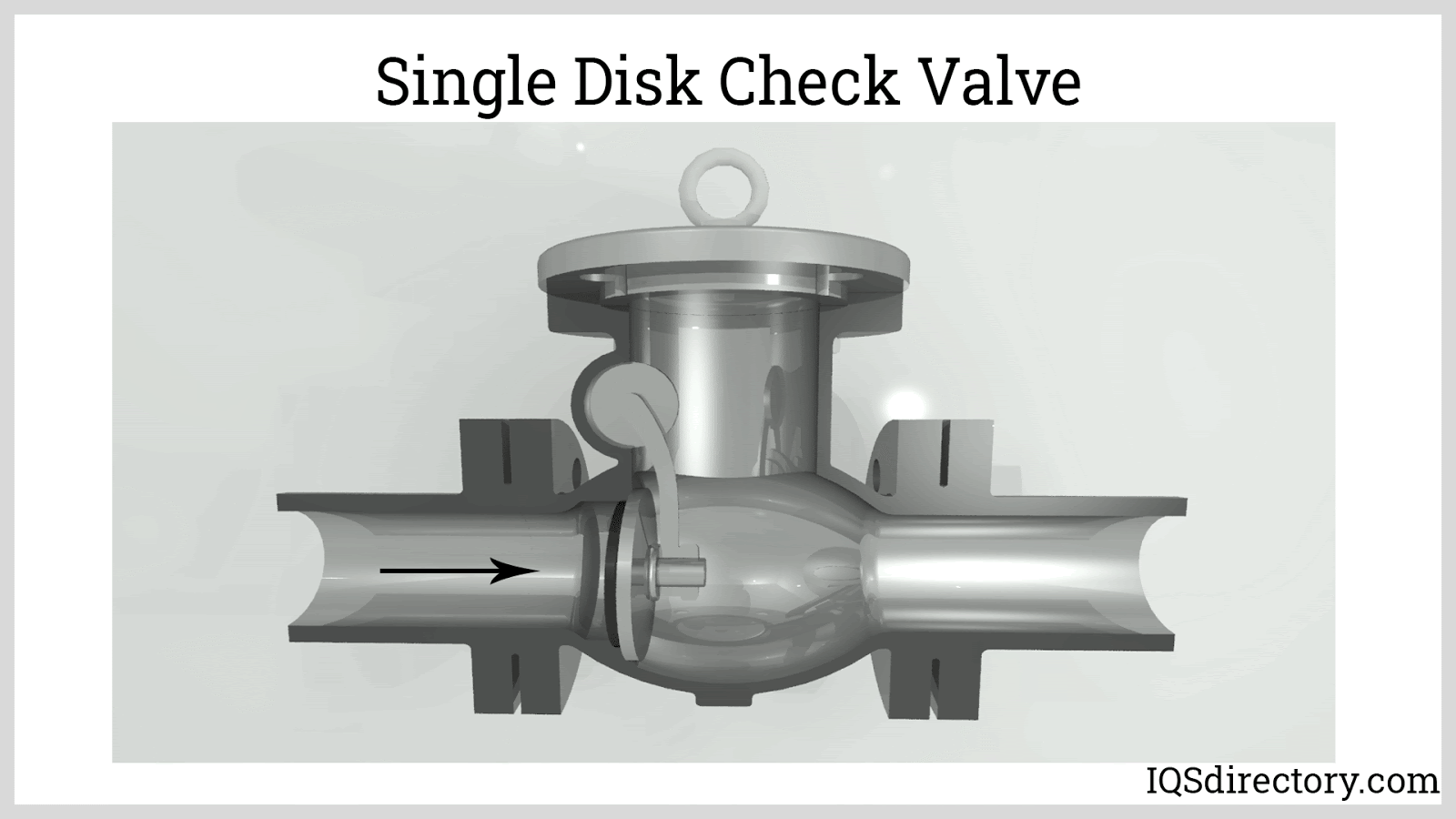 stop check valve y type