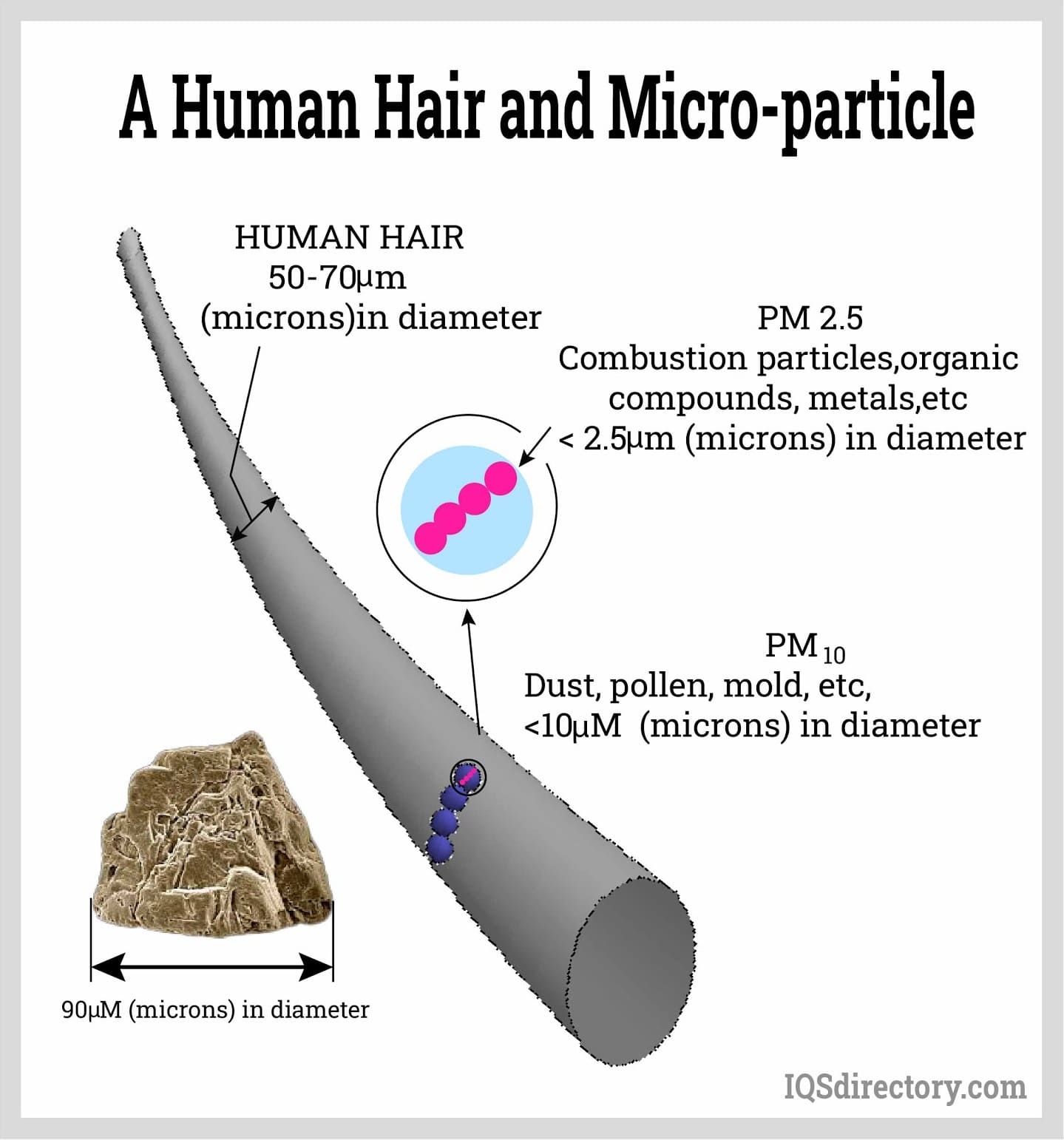 A Human Hair and Micro-particle