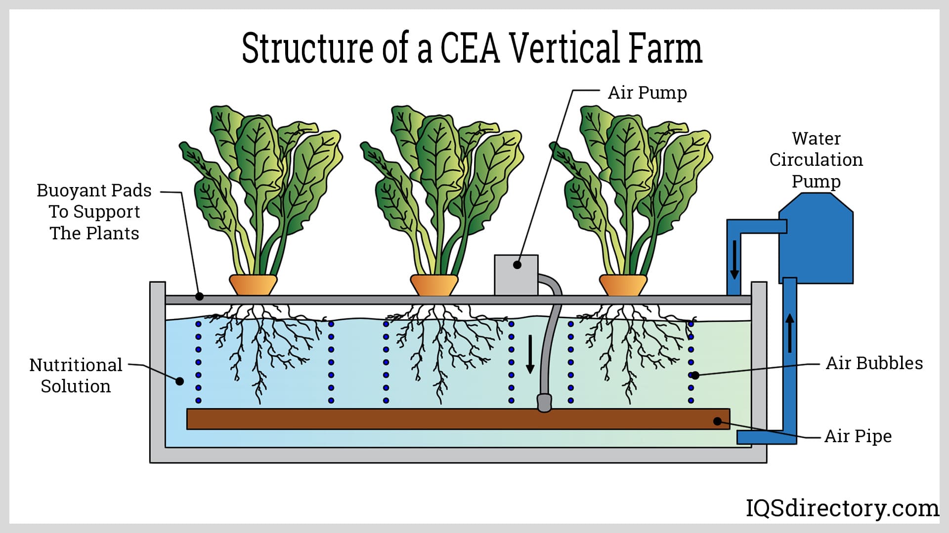 Structure of a CEA Vertical Farm