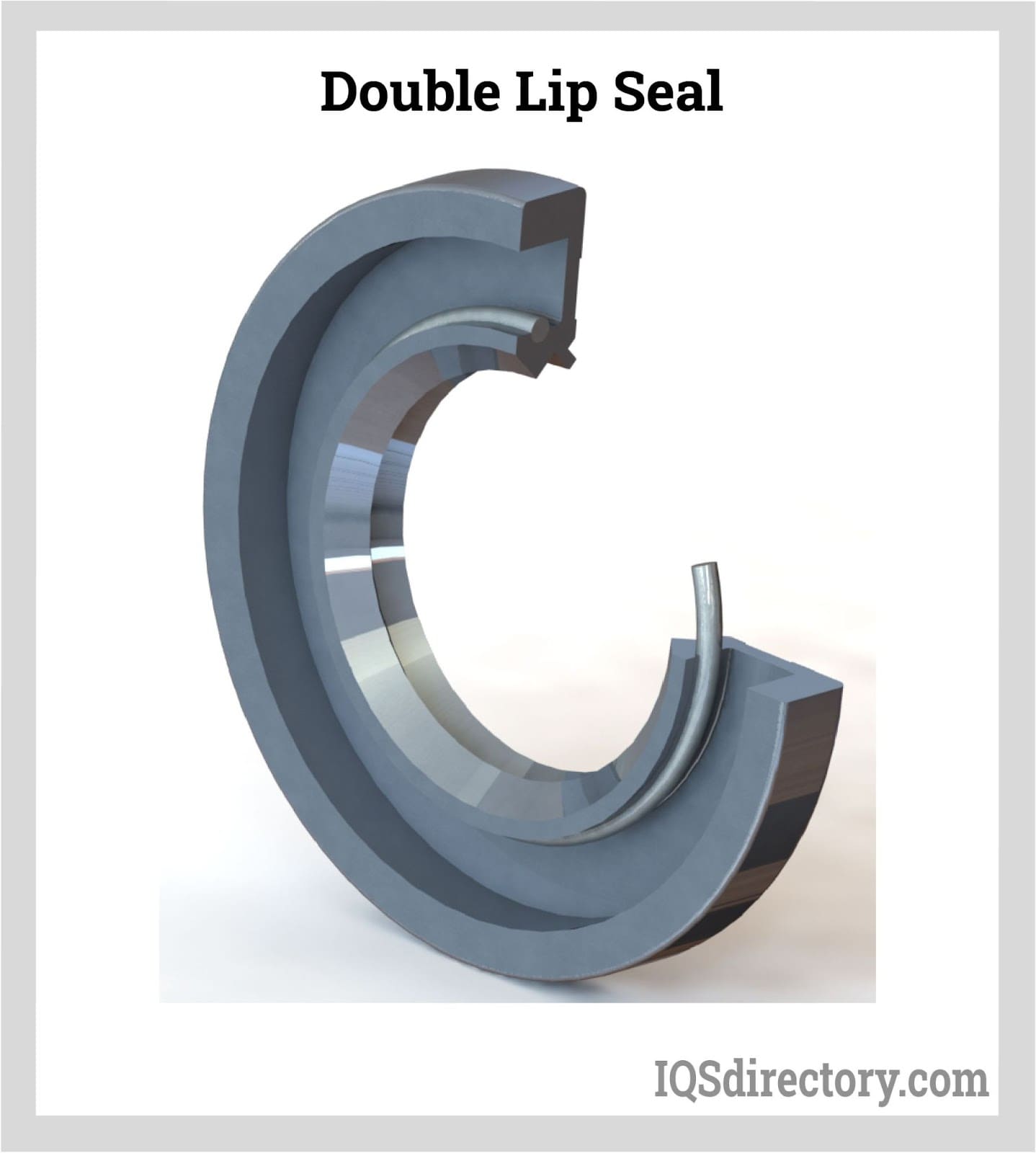https://www.iqsdirectory.com/articles/hydraulic-seal/double-lip-seal.jpg