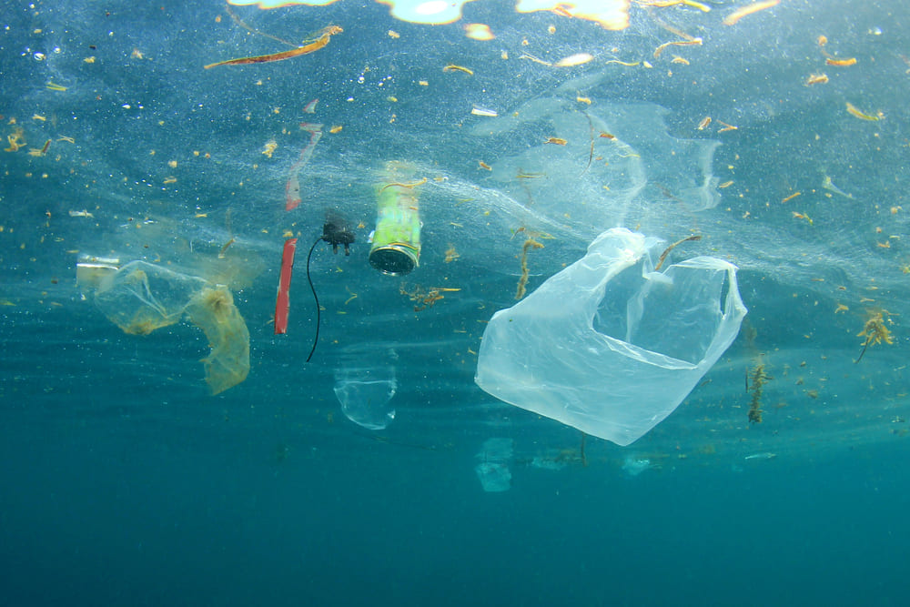 The Threat of Plastics 